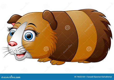 Cartoon Guinea Pig Isolated On White Background Stock Vector