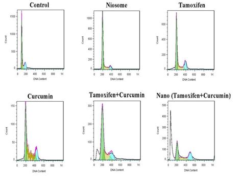 Cell Cycle Distribution For Mcf 7 Cells After Treatment With Different Download Scientific