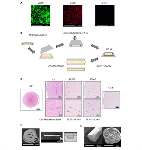 Admscs Characterization And Nfabns Generation A Shows Download Scientific Diagram