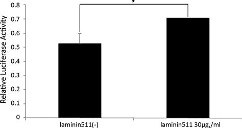 Laminin Inducer Of Hair Growth Is Down Regulated And Its