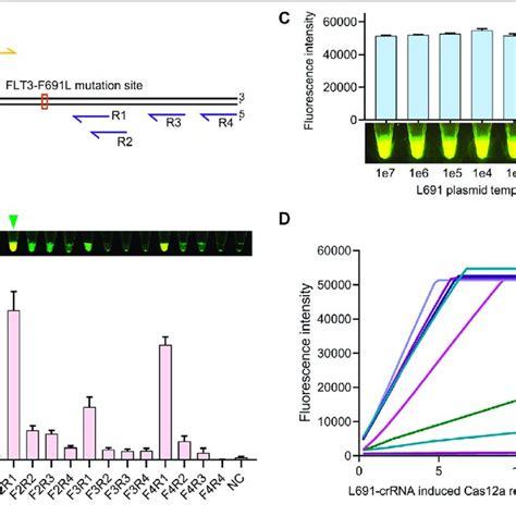 RPA Primer Screen For Highly Sensitive Detection A Relative