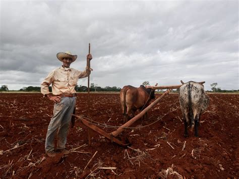 Qué son las Cooperativas FENACOPEL