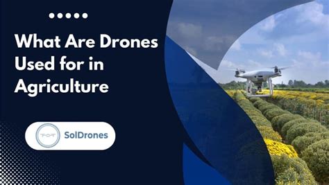 What Are Drones Used For In Agriculture Soldrones