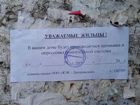 Идиоты | Пикабу