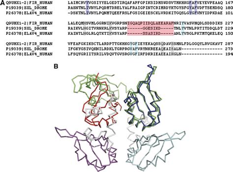 Comparison Of FIR With Monomeric Tandem RRM Domain Proteins A