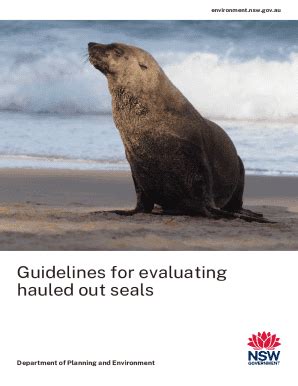 Fillable Online Environment Nsw Gov Guidelines For Preparing A