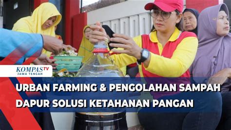 Urban Farming Pengolahan Sampah Dapur Solusi Ketahanan Pangan