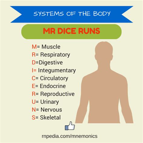 Medical Surgical Nursing Mnemonics And Tips