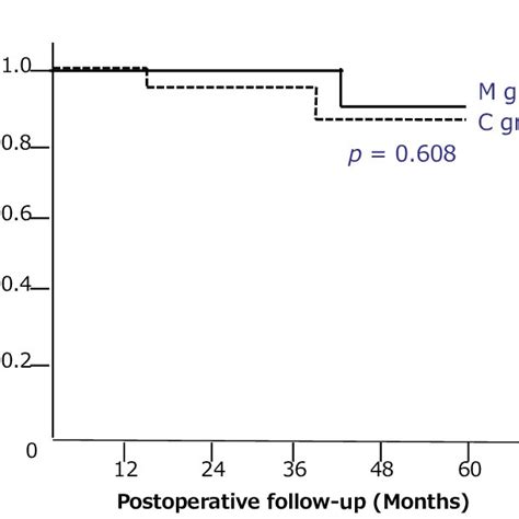 Postoperative Survival Curves Download Scientific Diagram