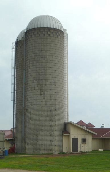 Forage Conservation Techniques: Silage and Haylage Production | NC ...