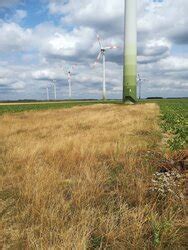 Enova Gr Ndet Beteiligungsunternehmen F R Den Kauf Alter Windparks