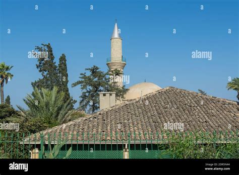 Hala Sultan Tekke Or The Mosque Of Umm Haram Near With Palm Tree A