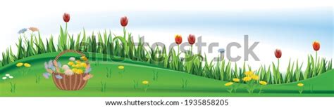 Spring Flowers Green Grass Border Stock Vector Royalty Free 1935858205 Shutterstock