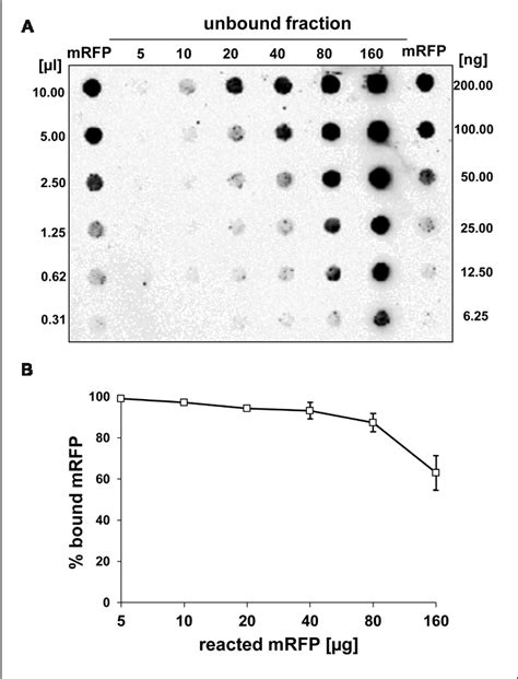 Figure From The Exosporium Of Bacillus Megaterium Qm B Is