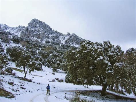 Parques Naturales de Andalucía que enamoran GUÍA 2024 25