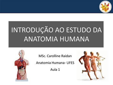 SOLUTION Introdu O Anatomia Humana Studypool