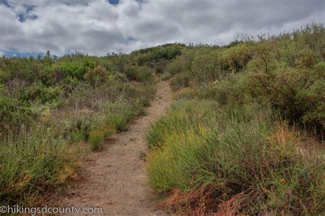 Luelf Pond Open Space Preserve Hiking San Diego County