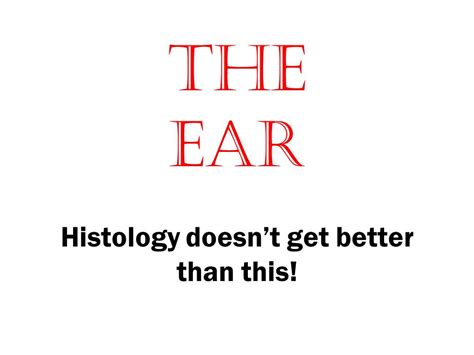 Ppt The Ear Histology Doesnt Get Better Than This Anatomy Of The