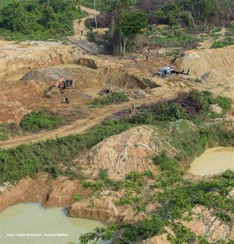 Garimpo ilegal e o avanço da prática na Terra Indígena Kayapó Museu