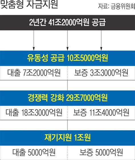 코로나 피해 소상공인에 41조원 세갈래 맞춤형 지원 네이트 뉴스