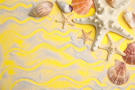 Estrelas Do Mar E Conchas Do Mar Na Areia Molhada Na Praia Ao Nascer Do