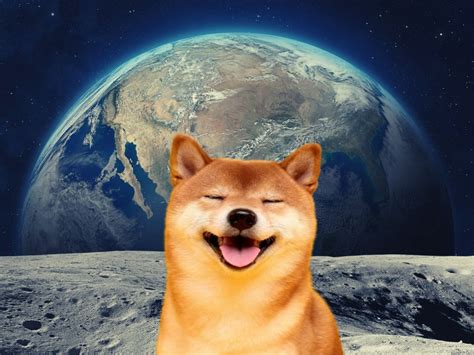 Will The New Shiba Inu Metaverse Make Shib Land On The Moon