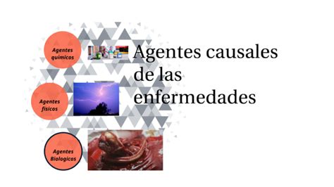 Agente Causal De La Enfermedad By Cesar Ortiz On Prezi