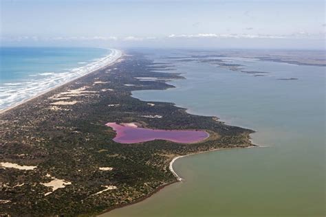 6 Things You Might Not Know About The Coorong Good Living