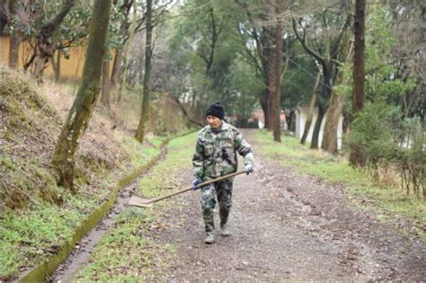 浙江平湖守林员胡木根：接力护山40年，绿了青山白了头 中国日报网