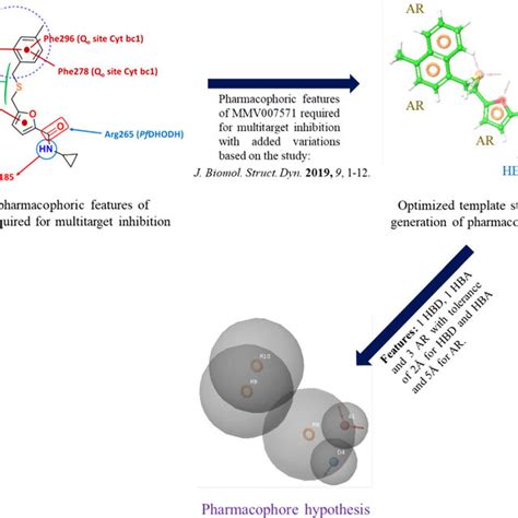 Development Of The Pharmacophore Hypothesis Based On The Structural