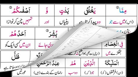 P Tl Taleem Ul Quran Para Surah Al Zukhruf Ayaat