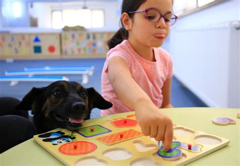 Rettung Hund Bumi VIER PFOTEN Österreich Stiftung für Tierschutz