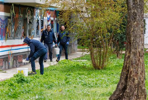 Slobodna Dalmacija Split Pod Najezdom Pantagana Stru Njaci Iz Ciana