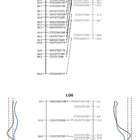 Estimated Linkage Map Showing The Positions Of The Detected Qtl Marker