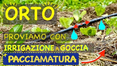 ORTO ESTIVO Con IRRIGAZIONE A GOCCIA E PACCIAMATURA NATURALE YouTube