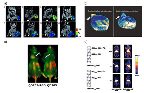 Several Examples Of Nanoparticle Contrast Agents And Tnps A Mr Images