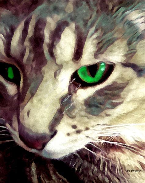 Green Eyes Digital Art Download Original Art By Sq Streater Etsy