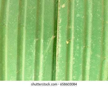 Green Metal Roof Texture Pattern Background Stock Photo 658603084 ...