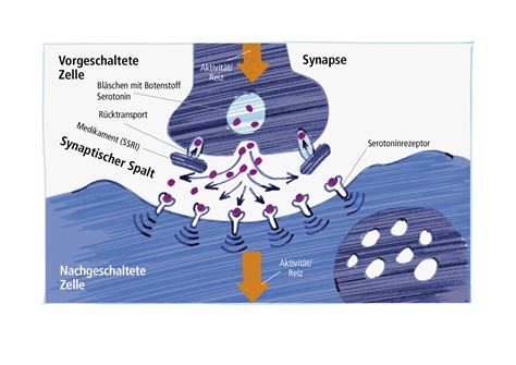 Medikament Se Behandlung Depression Stiftung Deutsche Depressionshilfe