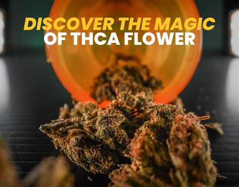 Pinnaclehemp Discover The Power Of Thca With Fire Flower 🔥 Milled