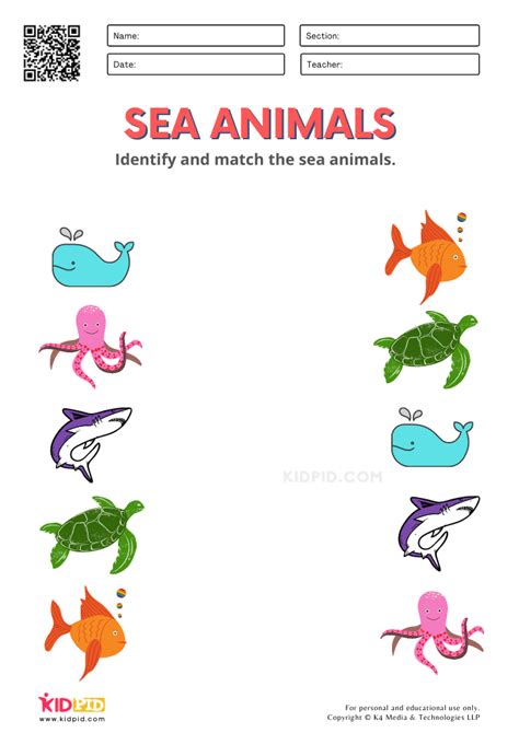 Sea Animals Worksheets for Kindergarten - Kidpid