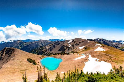 16 Fascinating Olympic National Park Facts You Should Know