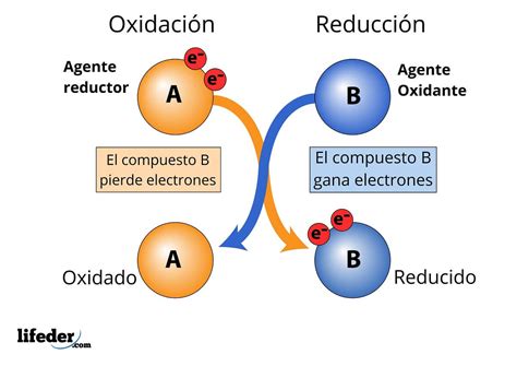 Agente reductor concepto los más fuertes ejemplos