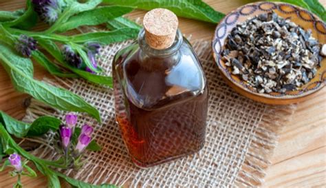 Comfrey Oil Benefits Uses Risks Holland Barrett