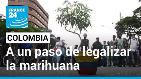 El Camino Para La Legalización De La Marihuana En Colombia Comenzó Hace