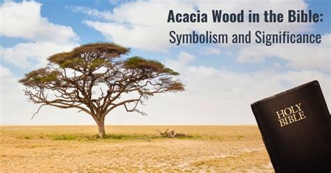 Acacia Wood In The Bible Symbolism And Significance Acacia Wood USA