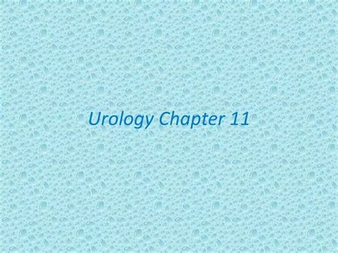 Ppt Urology Chapter 11 Powerpoint Presentation Free Download Id