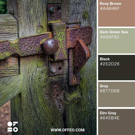 Nature Inspired Rustic Color Palettes Rustic Color Schemes Offeo