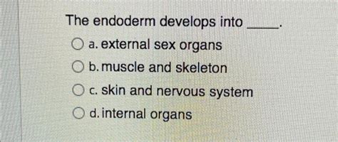 Solved The endoderm develops into a. external sex organs b. | Chegg.com