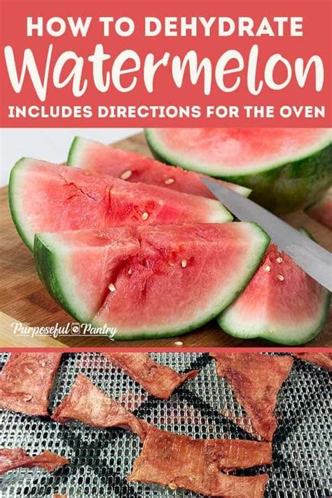 Dehydrate Watermelon And You Will Have The Best Tasting Watermelon